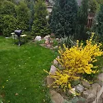 Vseborky *