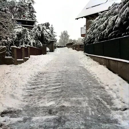 Vseborky