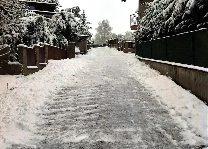 Vseborky